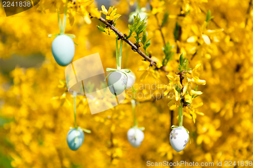 Image of easte egg and forsythia tree in spring outdoor