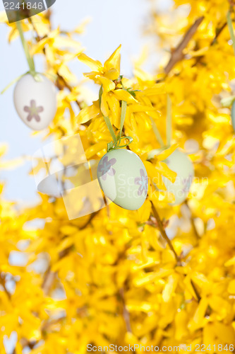 Image of easter egg and forsythia tree in spring outdoor