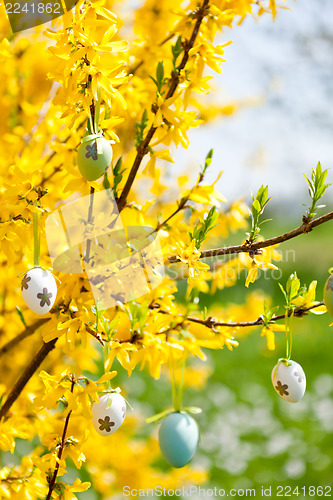 Image of easte egg and forsythia tree in spring outdoor