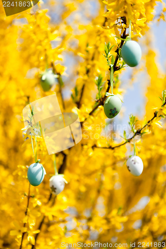 Image of easte egg and forsythia tree in spring outdoor