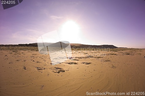 Image of thursty at sandbeach