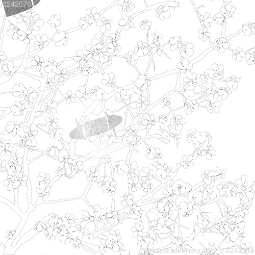 Image of Floral background outline