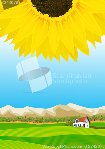 Image of Summer rural landscape