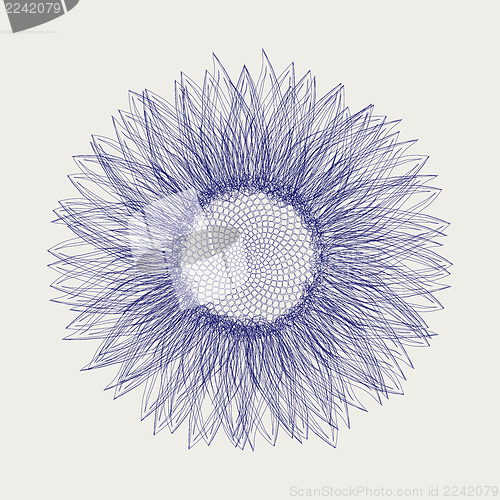 Image of Sunflower sketch design
