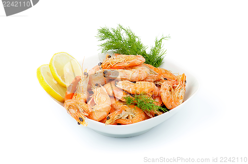 Image of Shrimps