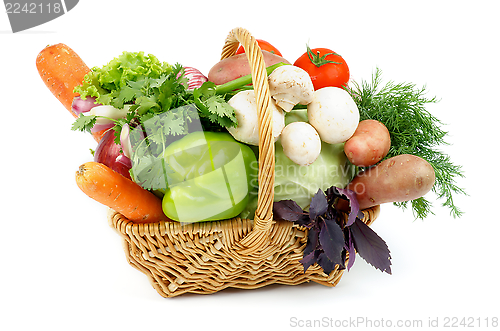 Image of Vegetable Basket