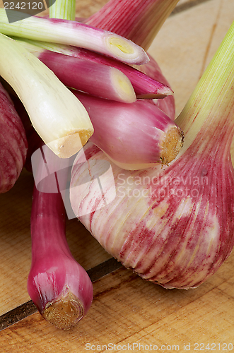 Image of Garlic and Onion