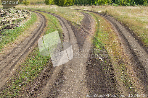 Image of road fork