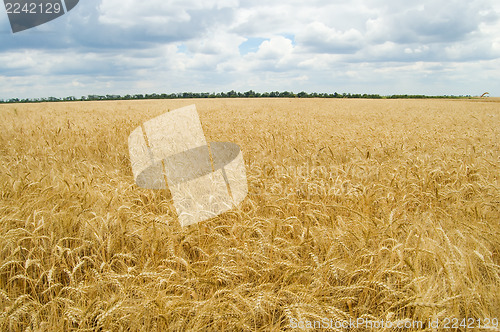 Image of field and cloud