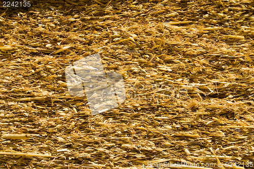 Image of textured