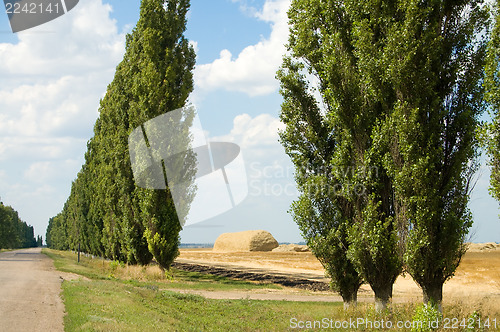 Image of trees way stack