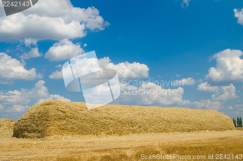 Image of gold stack