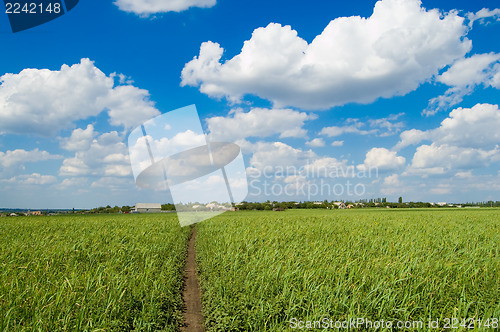 Image of blue sky