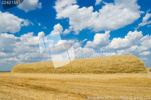 Image of gold stack