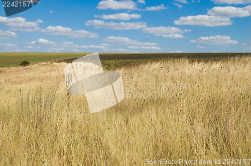 Image of steppe
