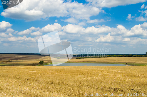 Image of rural view