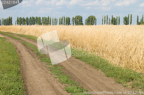 Image of dirt road