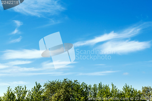Image of Beautiful spring sky with clouds