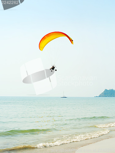 Image of Paragliding