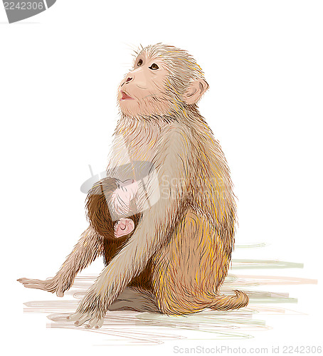 Image of hand drawn illustration of  the monkey feeding newborn baby