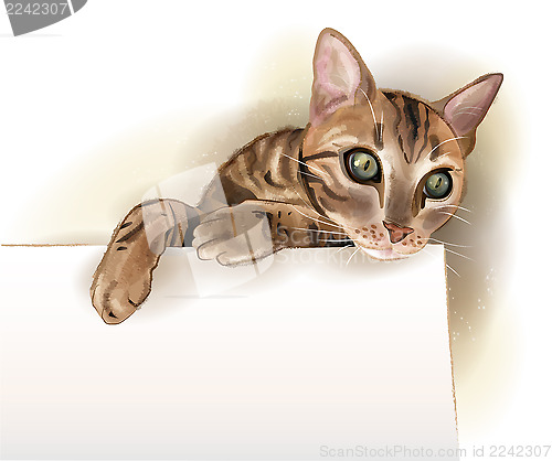Image of hand drawn illustration of  the cat with banner. Watercolor styl
