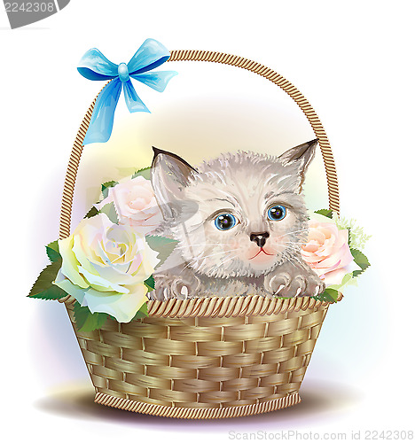 Image of Illustration of  the fluffy kitten sitting in a basket with rose