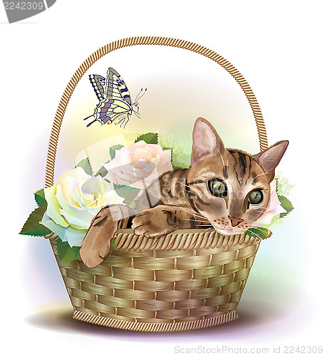 Image of Illustration of  the tabby cat sitting in a basket with roses. 