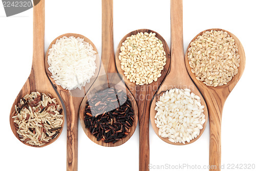 Image of Rice Grain Variety
