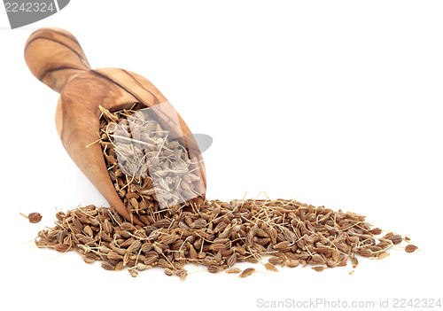 Image of Aniseed Spice