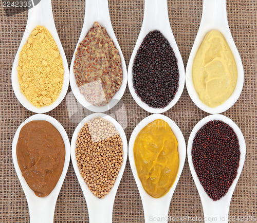 Image of Mustard Selection