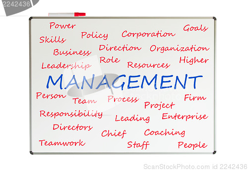 Image of Management word cloud