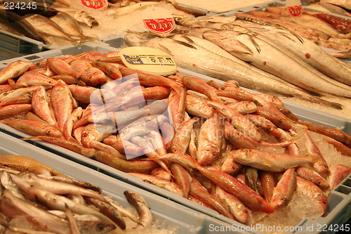 Image of Market-hall in Spain