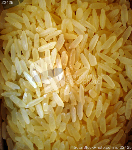 Image of Rice background