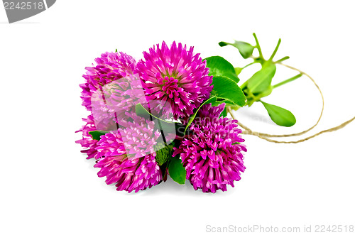 Image of Clover bouquet tied with a rope