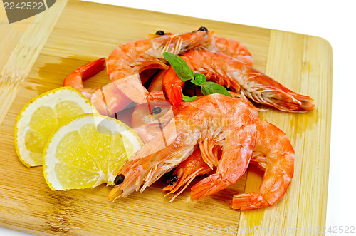 Image of Shrimps on board