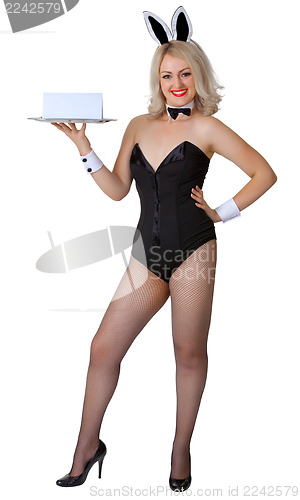 Image of Sexy girl with rabbit ears and name sign on a tray