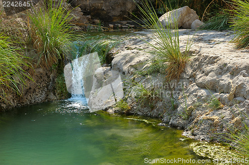 Image of Ein Gedi Nature Reserve off the coast of the Dead Sea