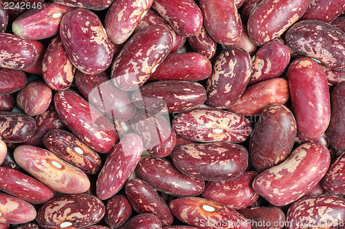 Image of Spotted beans