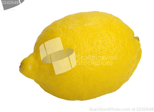 Image of Lemon, isolated