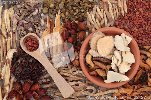 Image of Chinese Medicinal Herbs