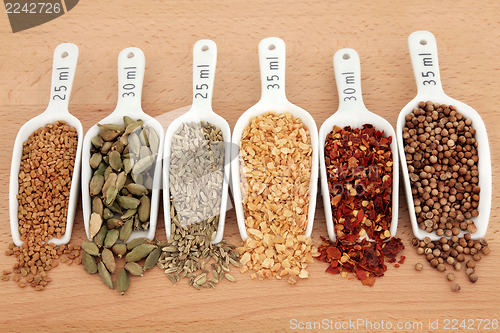 Image of Spice in Scoops