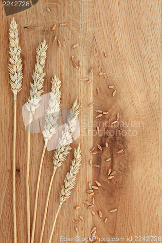 Image of Wheat on Oak