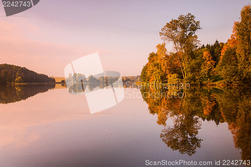 Image of Symmetry reflection on the lake