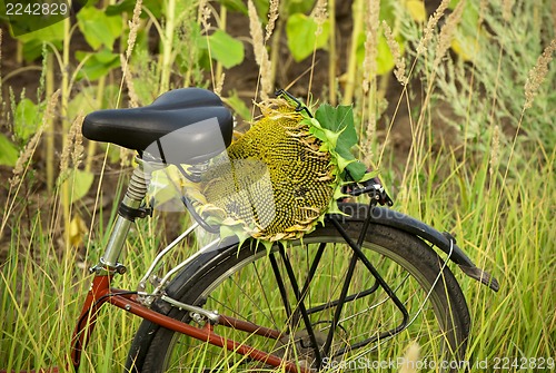 Image of bicycle