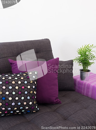 Image of Sofa with colorful cushions and green plant