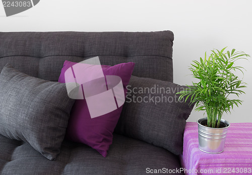 Image of Cozy sofa with cushions and green plant