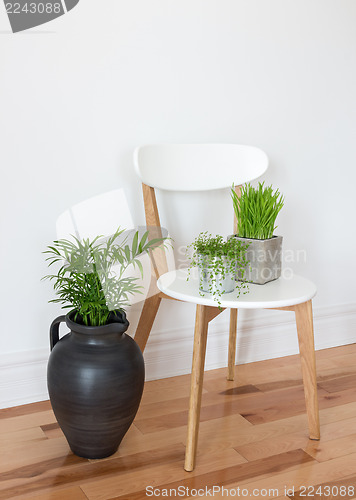 Image of Elegant chair with green plants