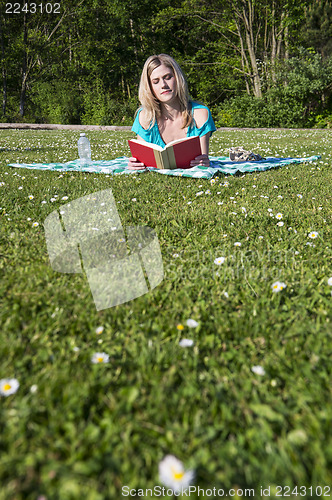 Image of Young Woman Reading Book In Park