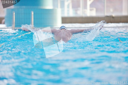 Image of swimmer