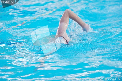 Image of swimmer